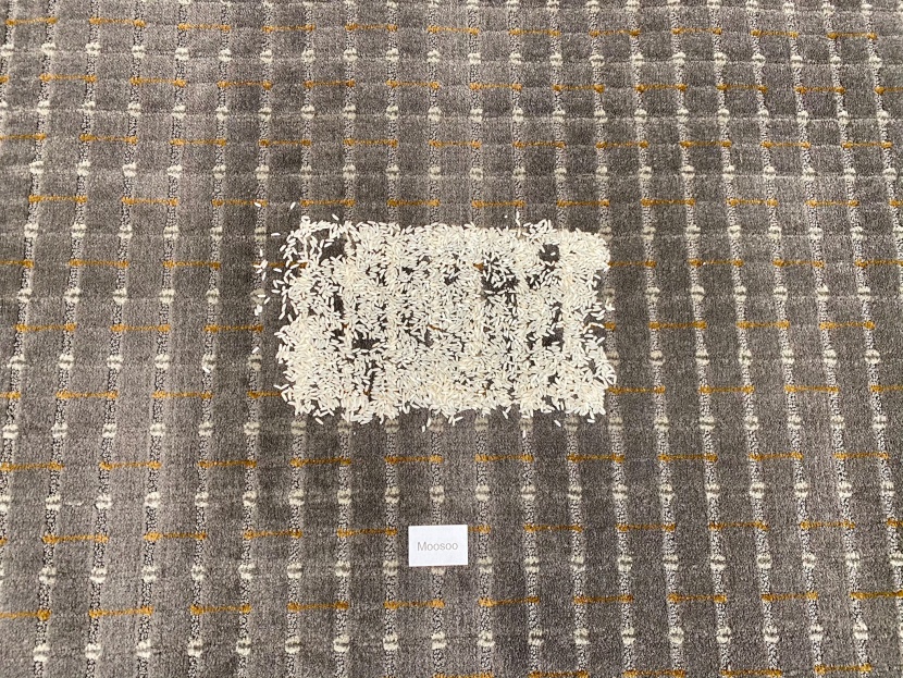 rice spread out for testing.
