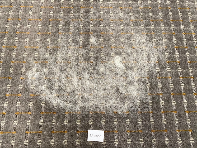 the pet hair we laid out prior to our test.