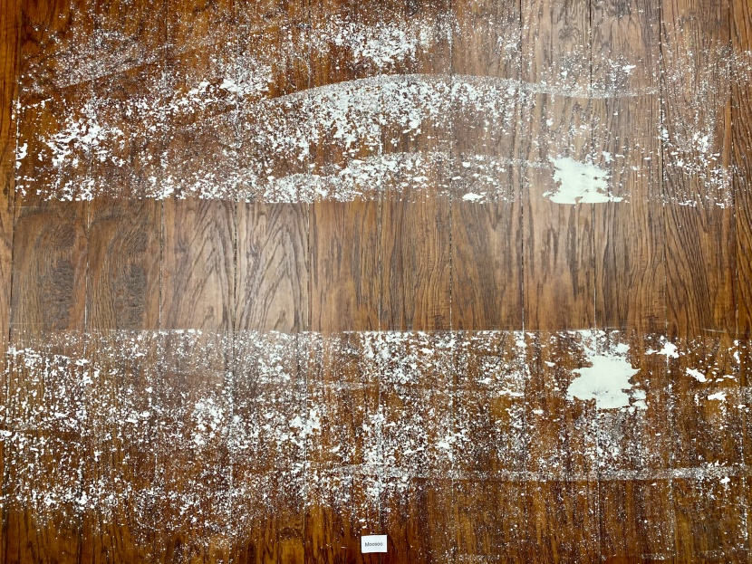 you can see this stick vacuum's cleaning performance by the stripe...