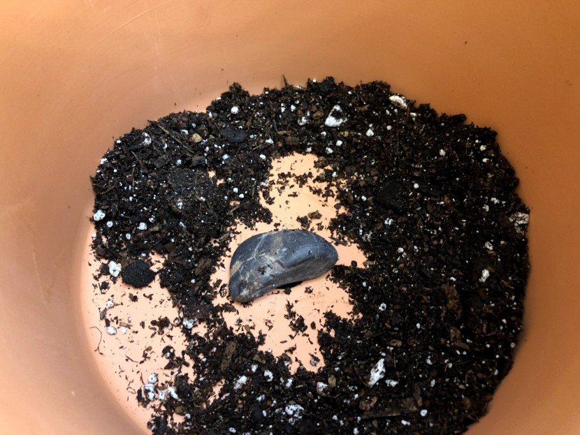 flower pot - pro-tip: if you want to avoid soil loss but still allow for adequate...