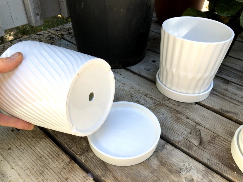 flower pot - every pot or planter you look for should have a drainage hole; there...