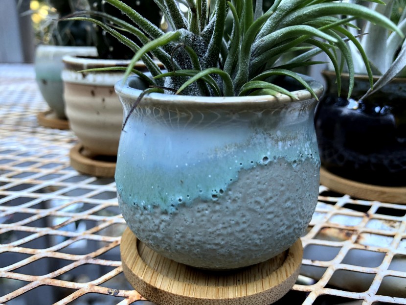 flower pot - the detailed glazes and bamboo saucers of the zoutog succulent pots...