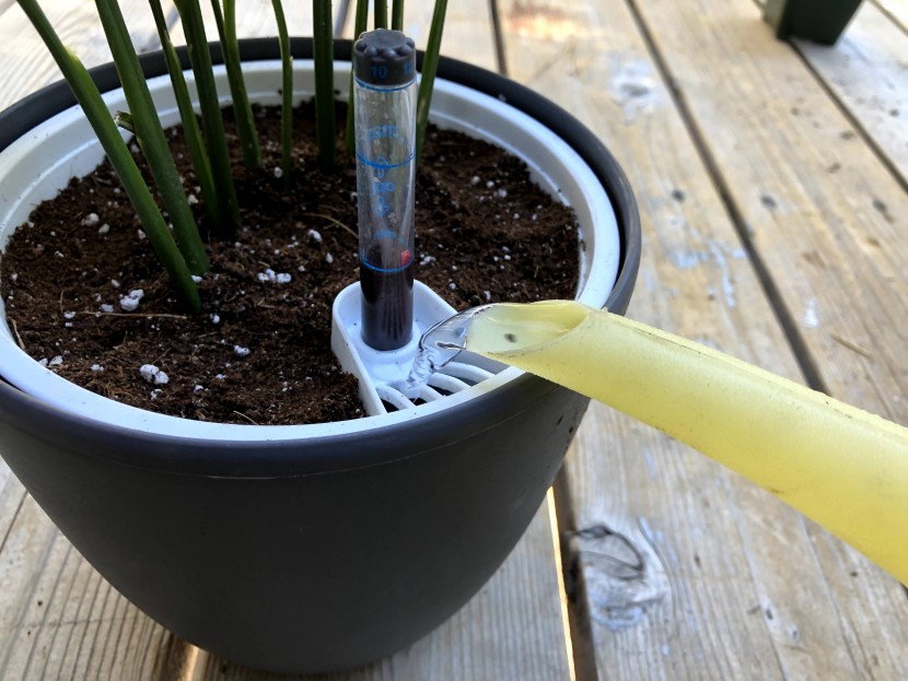 flower pot - rather than watering the soil directly, you fill a bottom-watering...