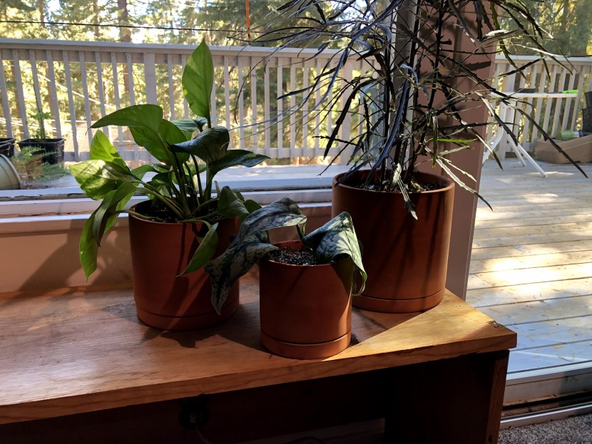 flower pot - these cylindrical terracotta pots look great and also offer a great...