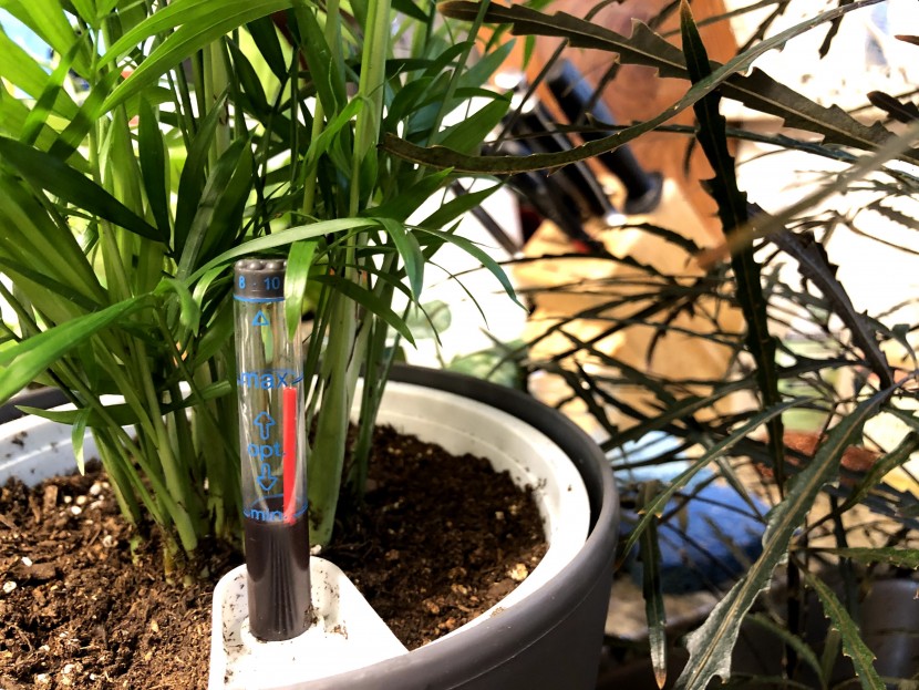 flower pot - the self-watering gauge on the gardenix pots was a handy feature if...