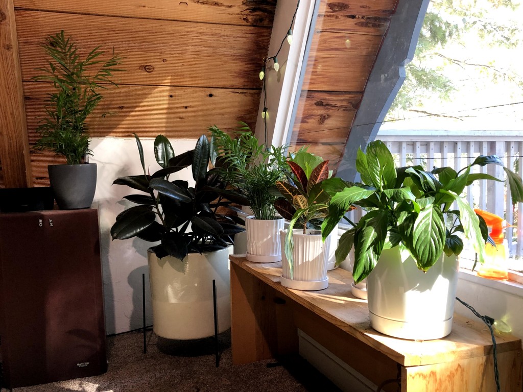 flower pot - no matter what you're looking for, we've got you covered when it...