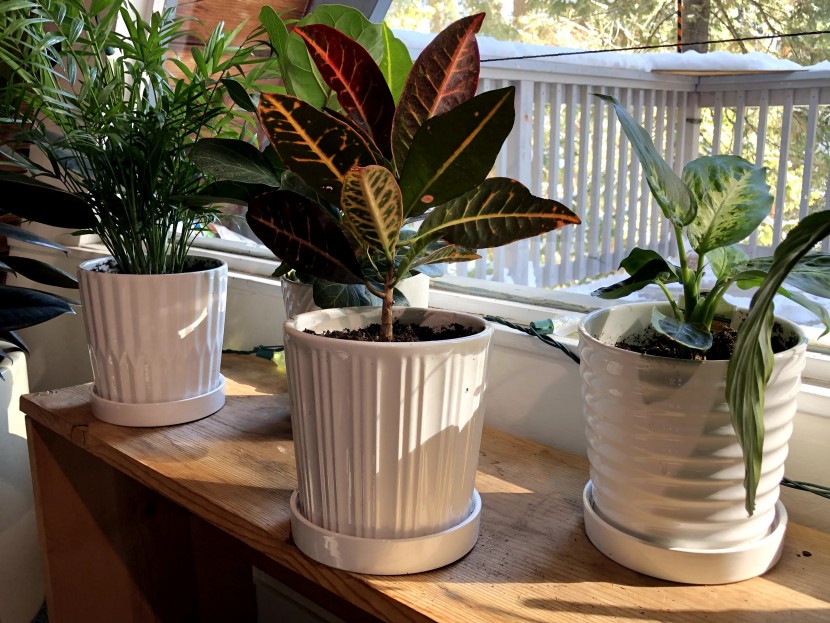 flower pot - coming as a set of four pots, these porcelain vessels are a great...