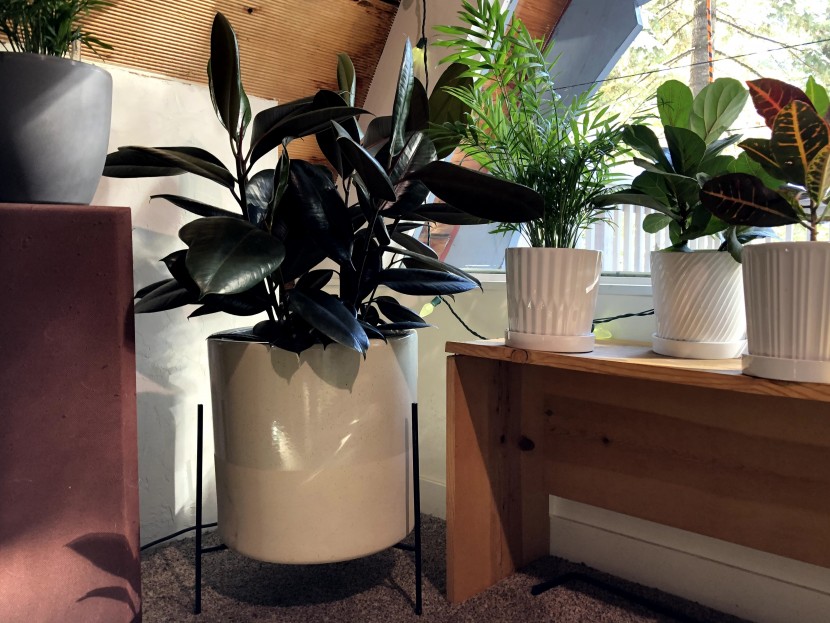 flower pot - the large rivet planter (center) and porcelain brajttt pots (right)...