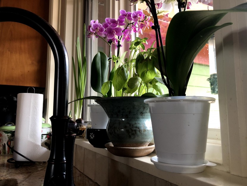 flower pot - smaller than most but sporting a unique two-piece design, the mkono...