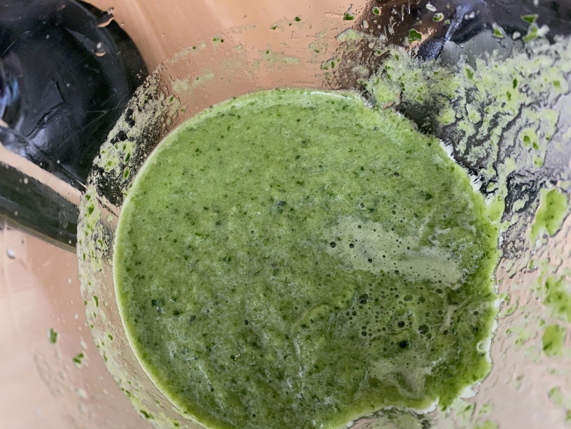 hamilton beach 58148a - the green smoothie on the hamilton beach was much chunkier than some...