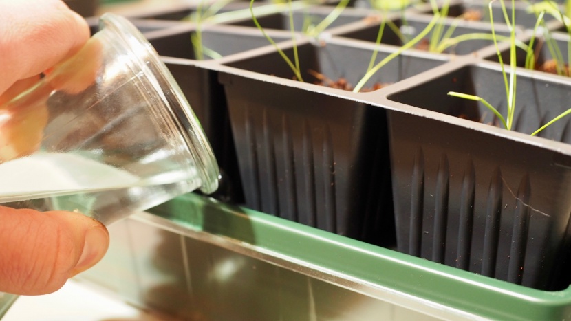 seed starter kit - some kits have systems in place that allow you to add water to the...