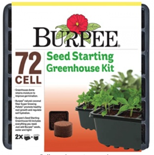 Lead photo for Best Bang for the Buck