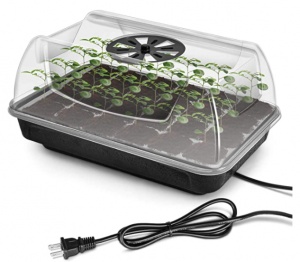 The 4 Best Seed Starter Kits | Tested & Rated