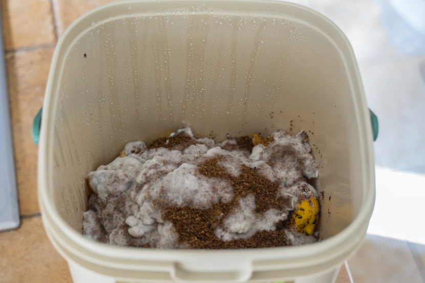 we were alarmed to see a fuzzy white mold after our food scraps...