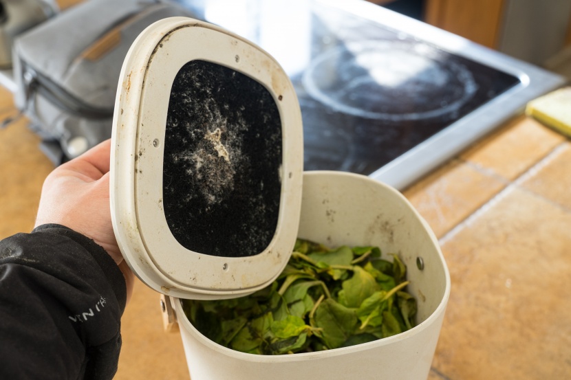 compost bin - when your compost is just getting started, it will smell the most...