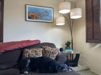 Best Overall Floor Lamp