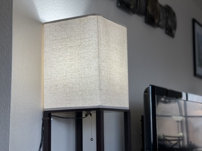 Lead photo for Best Shelf Lamp