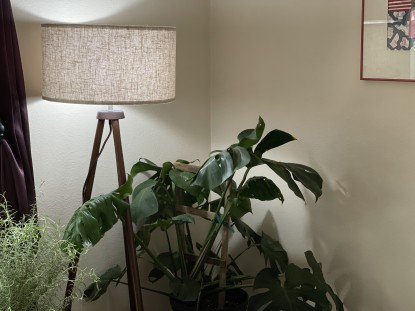 Lead photo for Best Bang for Your Buck