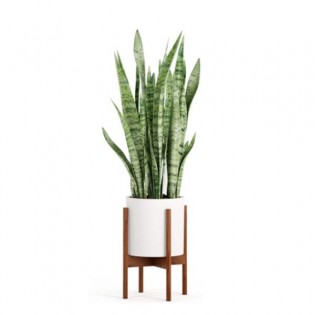 Lead photo for Best Planter and Stand Combo