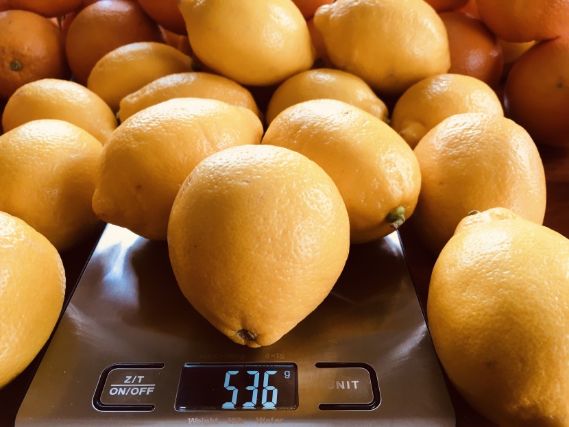 citrus juicer - we selected fresh produce from the same grocery store to limit...