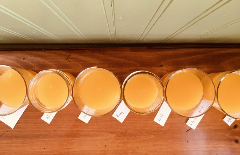 we performed a side by side taste test in addition to our previous...