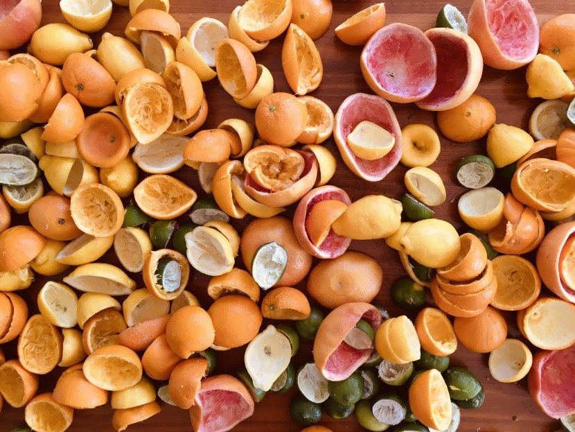 citrus rinds after testing over 55 lbs. of fruit.