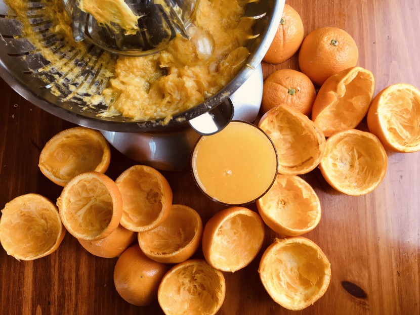 citrus juicer - the breville model is fast and efficient, producing high yields...