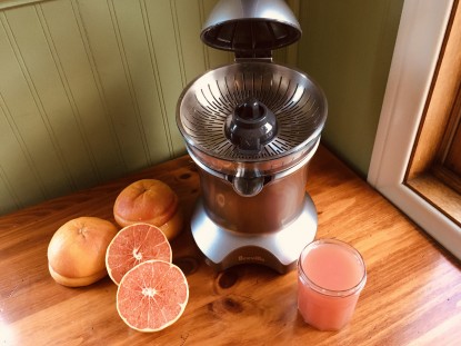 Lead photo for Best Overall Citrus Juicer
