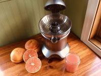 Best Overall Citrus Juicer