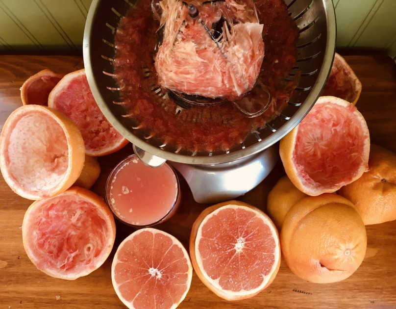 citrus juicer - the breville model creates high yield quickly and efficiently.