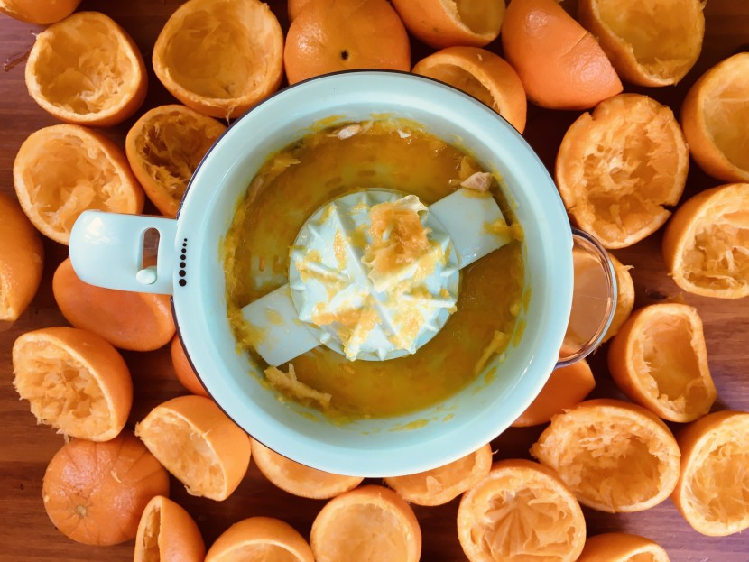 citrus juicer - the dash citrus juicer extractor features a bar attached to the...