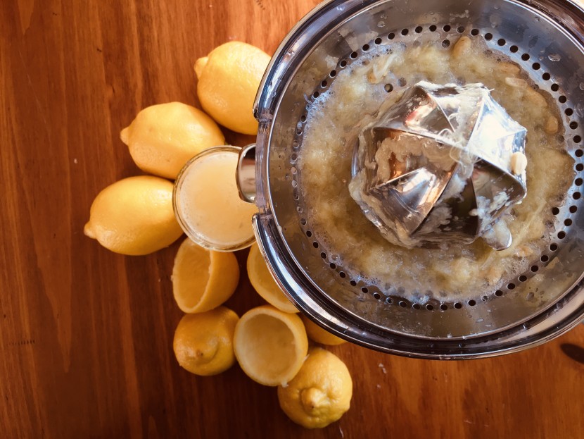 citrus juicer - the smeg models looks great on your countertop and functions...