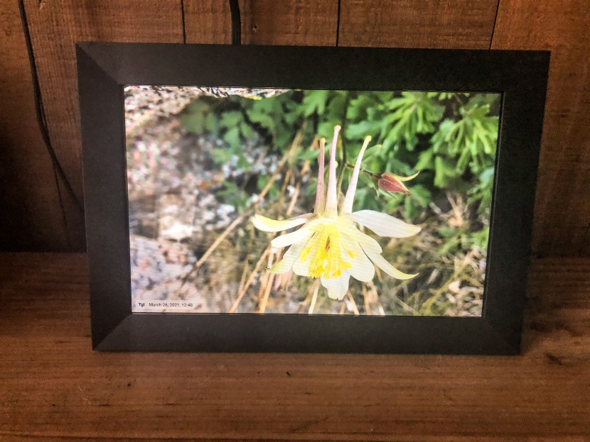 digital picture frame - the aeezo frame provided excellent side profile viewing with limited...