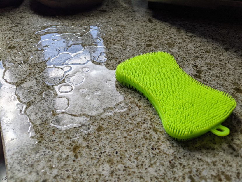 sponge - while it may not be great at absorbing water, the soft bristles on...