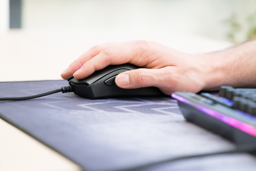 gaming mouse - palm grip.