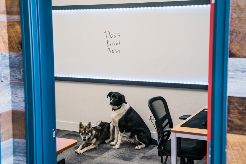 led strip lights - offering 65.6 feet of led lights and a power cord over nine feet in...