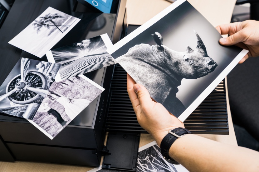 epson surecolor p700 - this printer has great tonal transitions and definition in...