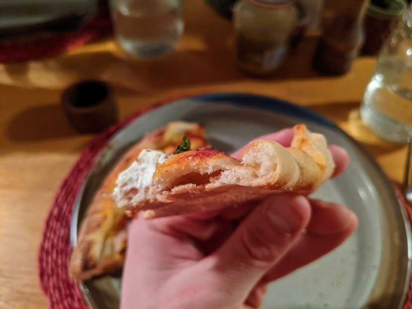 breville smart oven - while it may not be as airy a crust risen quickly in a...