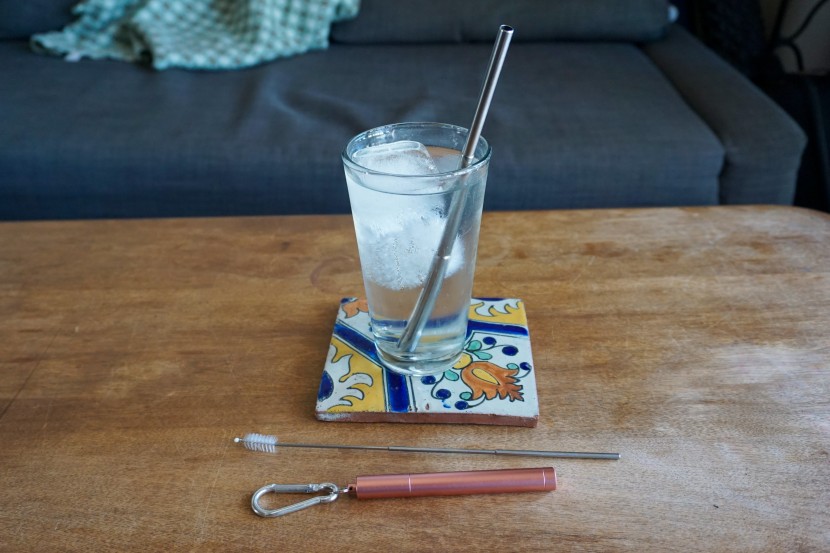 metal straw - the doboli collapses, as does the brush it comes with, and both fit...