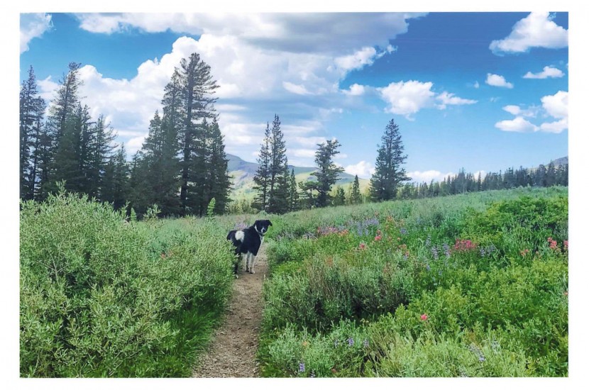 fujitsu scansnap ix1600 - photos scanned with the fujitsu scansnap ix1600 are true to the...