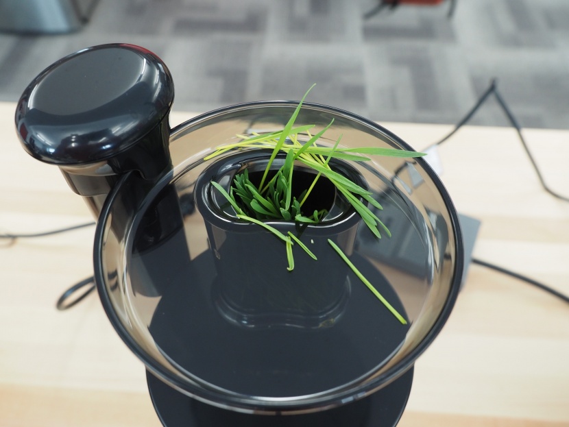 hurom slow juicer - the hurom h-aa can accept enough wheatgrass to successfully produce...