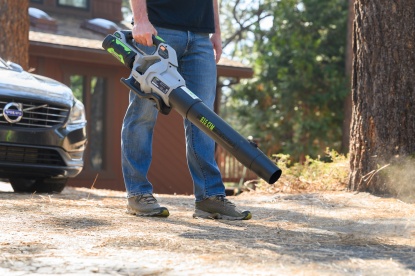 Lead photo for Best Leaf Blowers