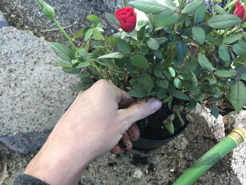 the homenote pots have plenty of room for your hands and fingers...