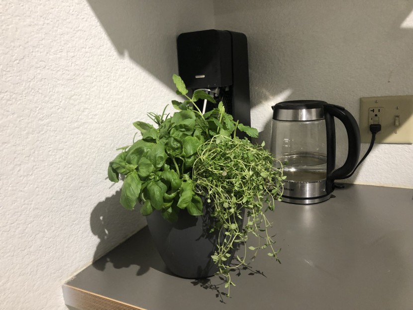 garden pot - the gardenix planter includes a self watering feature for easy long...