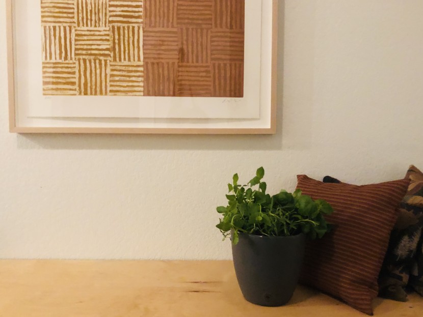 the cyclone 7" planter is incredibly practical with its self...