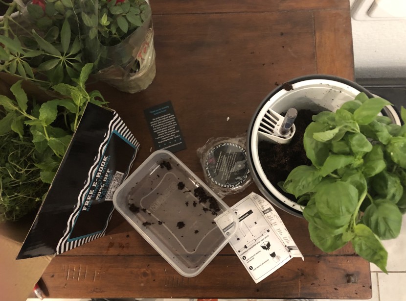 the cyclone planter is a good size for a medium sized house plants...