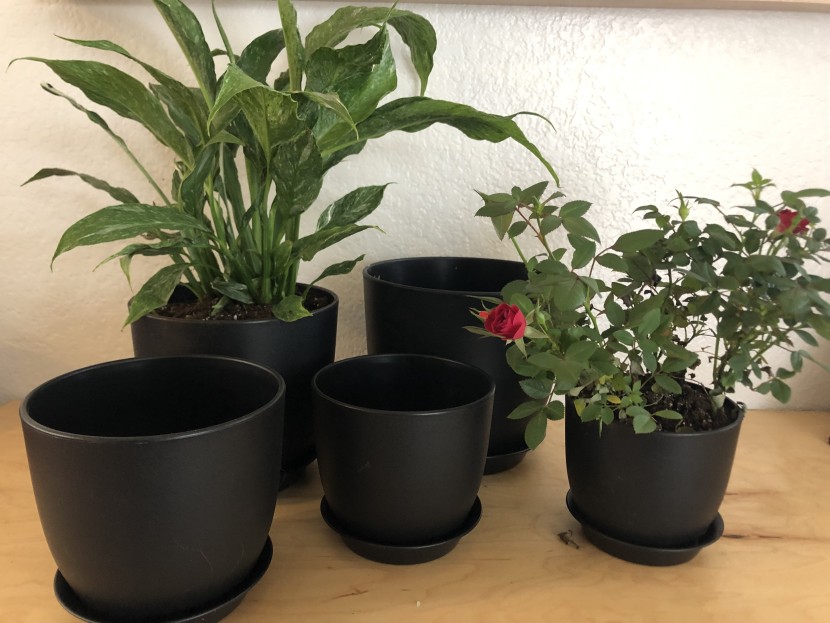 the homenote planters are light weight and easy to use.