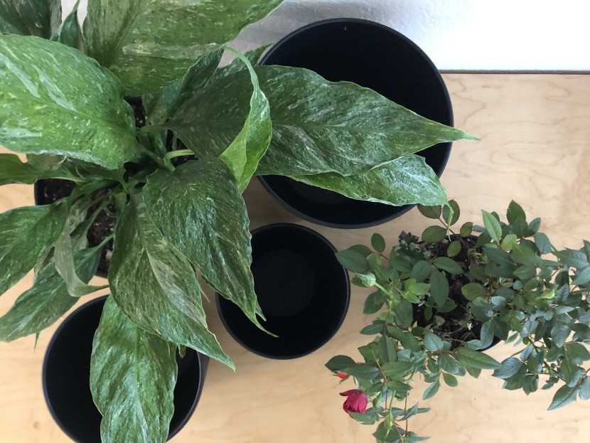 the homenote planters and versatile and classic.