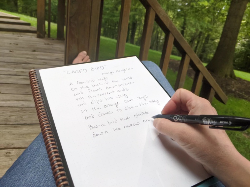 digital pen - if you want to head out to the park to relax and write, we prefer...