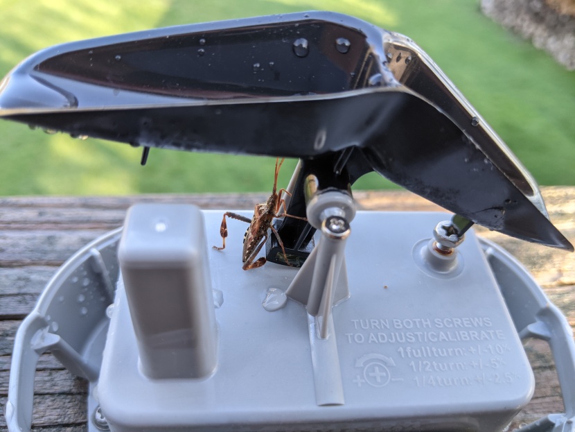 rain gauge - bugs can clog a digital gauge&#039;s sensor, affecting accuracy.